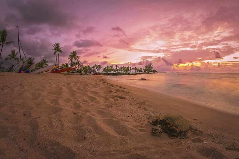 Hal-hal petualangan yang dapat dilakukan di Big Island of Hawaii